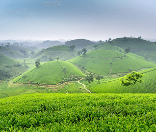 Kerala
