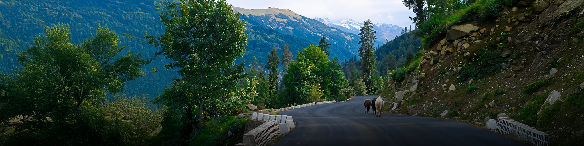 Shimla Kullu Manali Banner 3