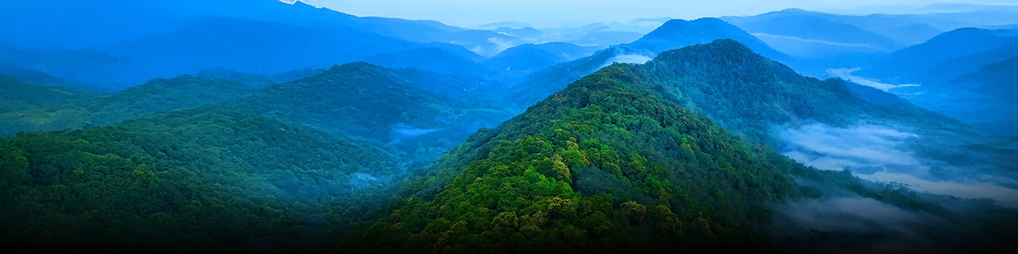 03 Gavi – Thekkady_03