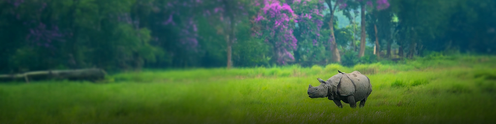 assam Meghalaya Wild Life