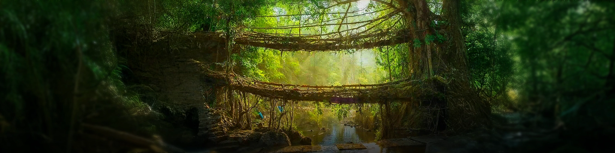 Assam Meghalaya
