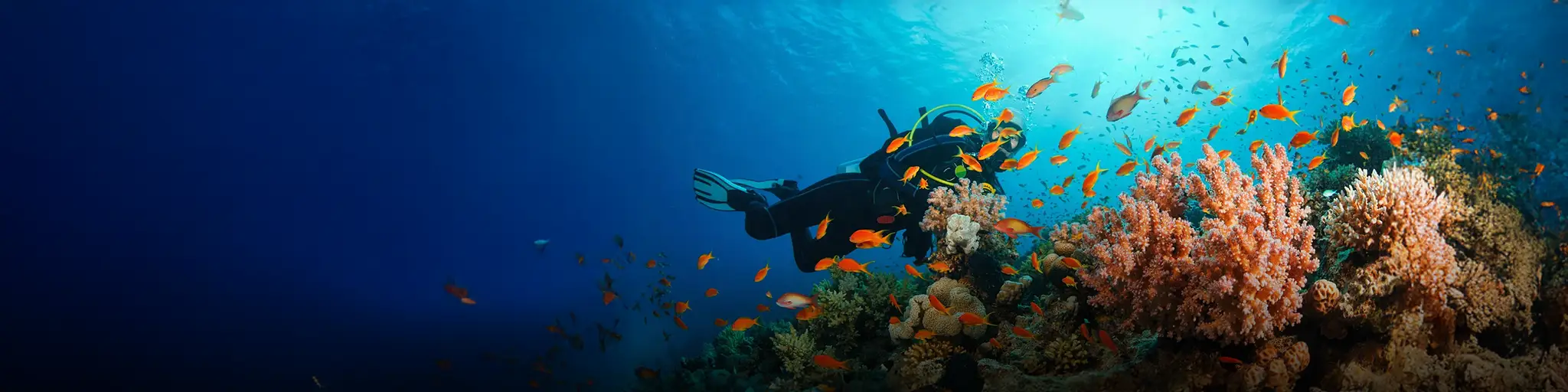 Under water activities lekshadweep