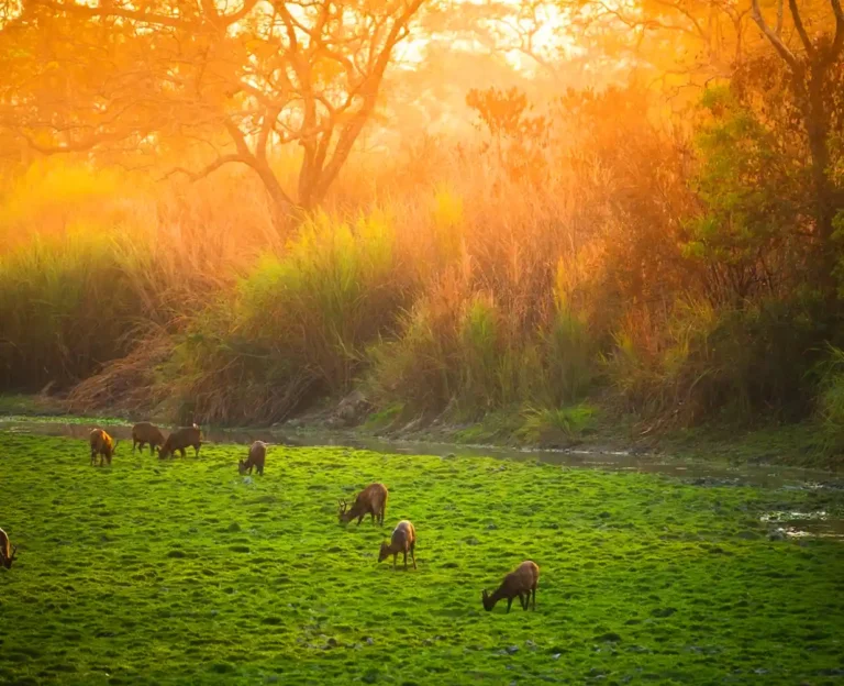 Assam Meghalaya 21 April 2026