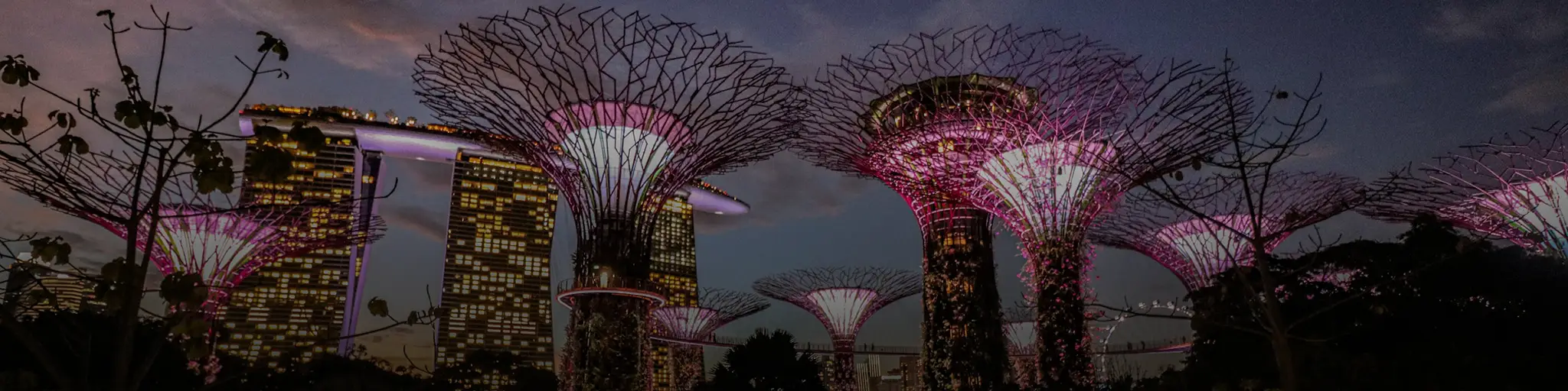 Malaysia and Singapore Banner 2