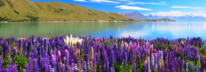 day10-nz