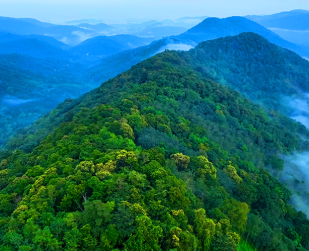 Gavi Kambam Thekkady