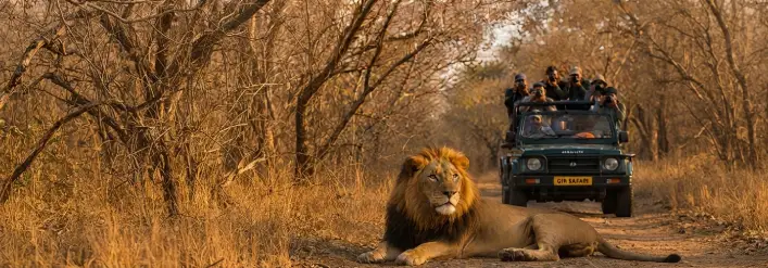 Gujarat Tour Package day 6