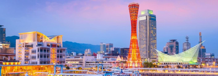 japan-d8