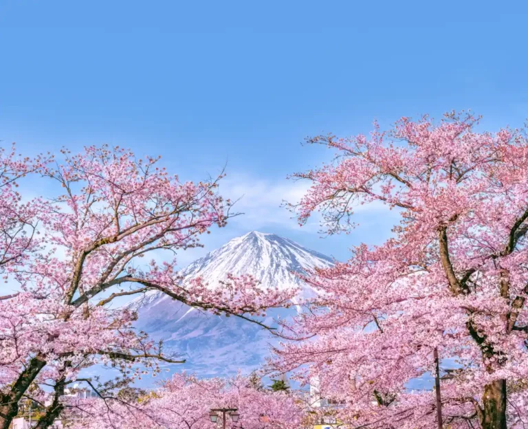 Japan – A Land of Timeless Charm
