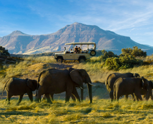 south-africa