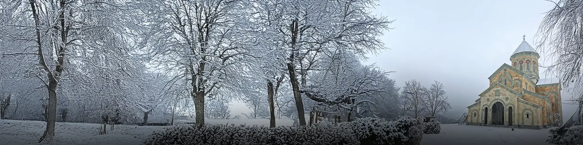 Snow in the Georgia
