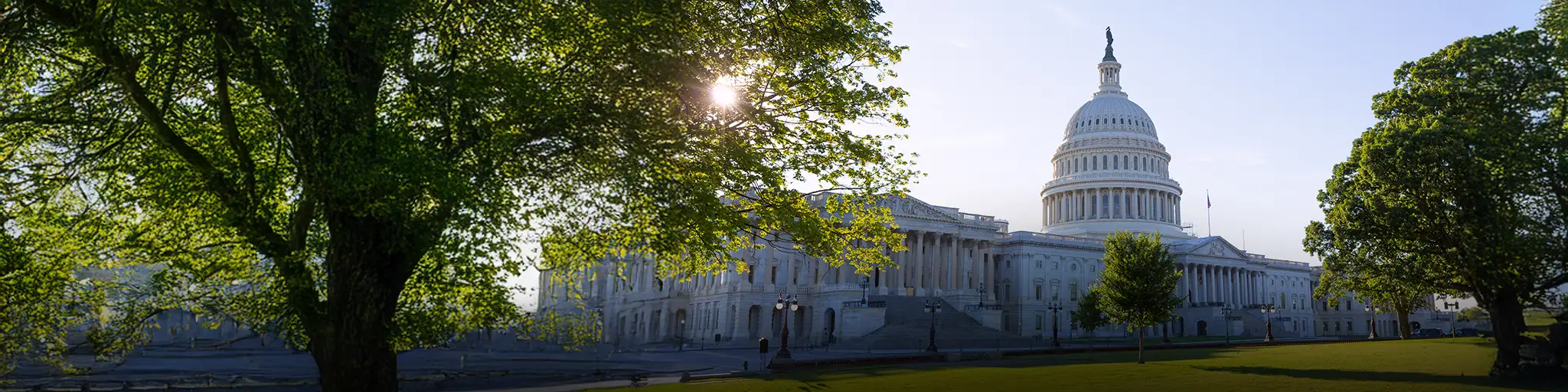 U.S. Capitol, Washington DC.