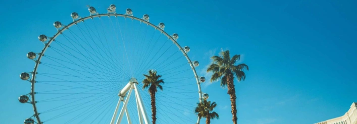 DAY 05 high roller