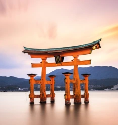 Day-8-japan-korea
