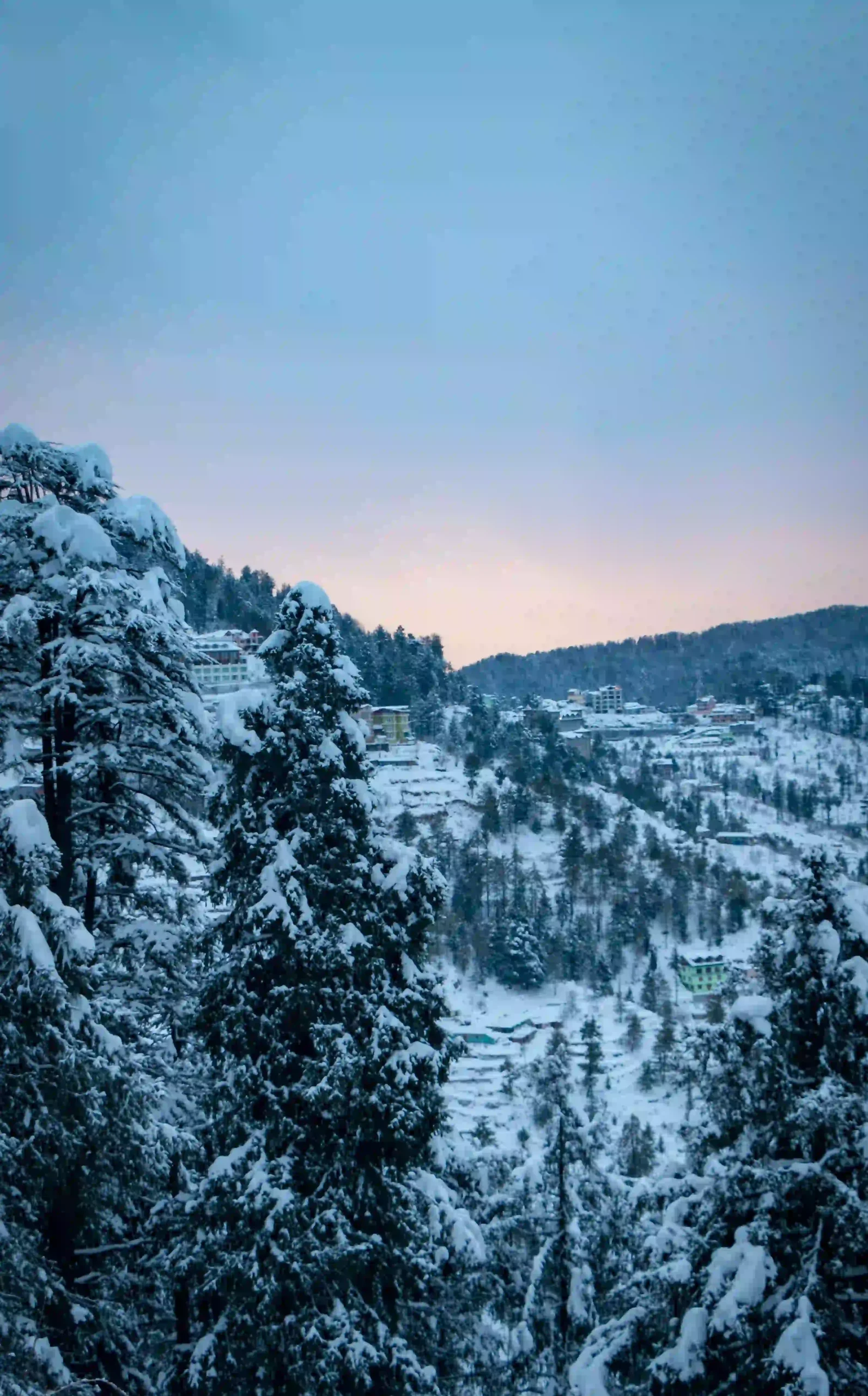 Shimla