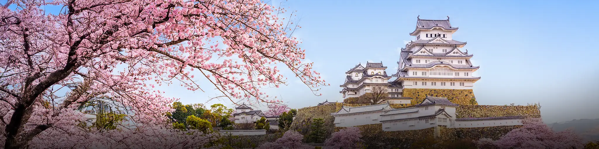 05 Japan Sakura Dreams_ Mar 27, Apr 3_02