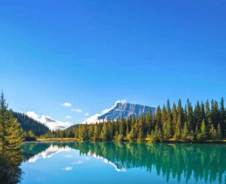Alaska