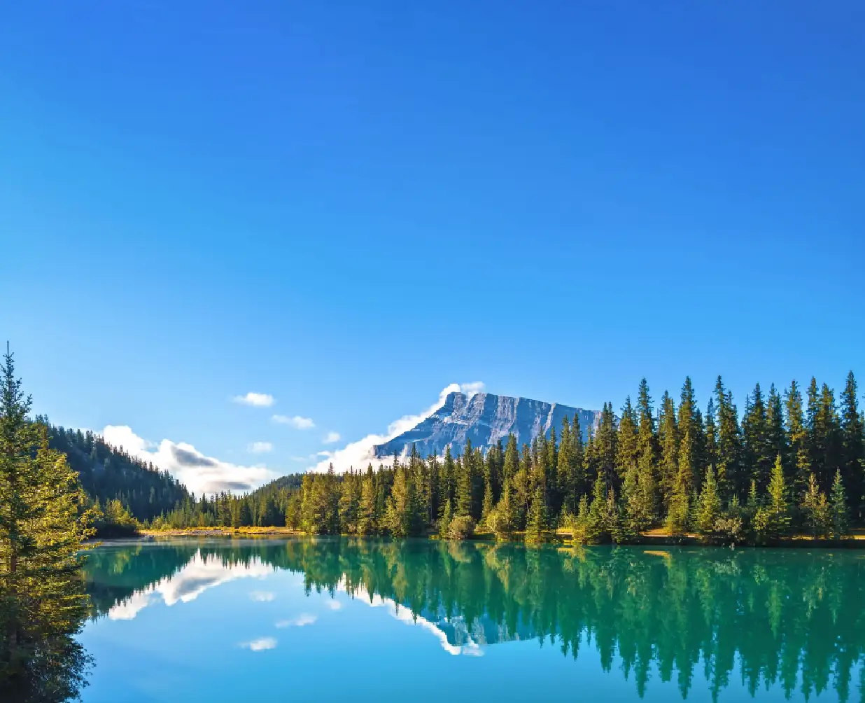 Alaska Greenery & Mountains