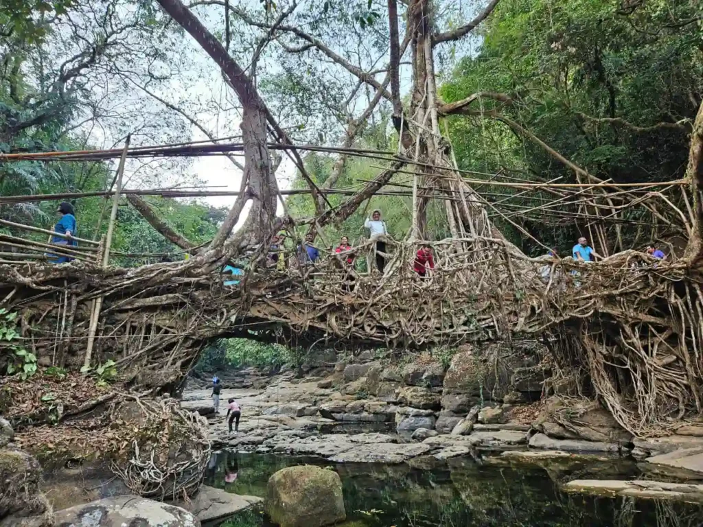 Sightseeing group in Assam and Meghalaya highlands