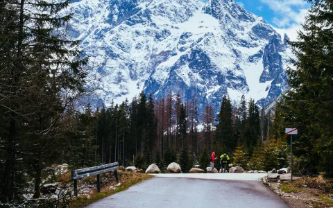 himachal-shimala