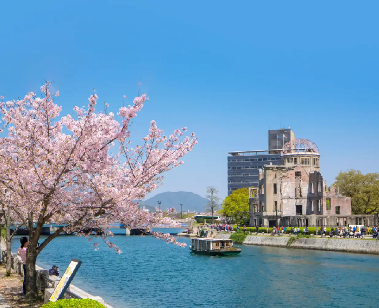 japan-sakura-1