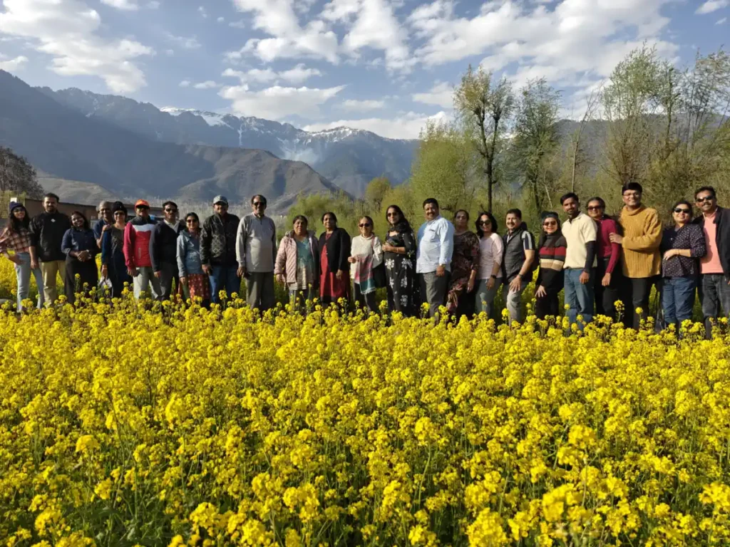 Mustard Flowers - Kashmir