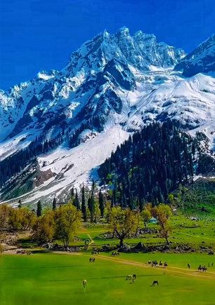 Kashmir