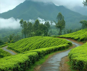 Hill Station Escape