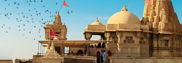 day 7 Gujarat