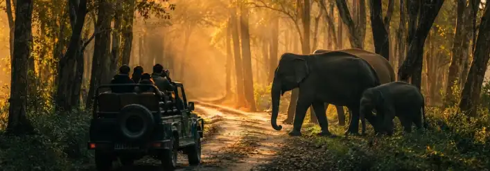 Nagaland 6 Nights 7 Days tour package with Kaziranga and Kohima