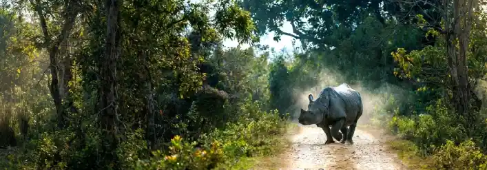 Nagaland 6 Nights 7 Days tour package with Kaziranga and Kohima