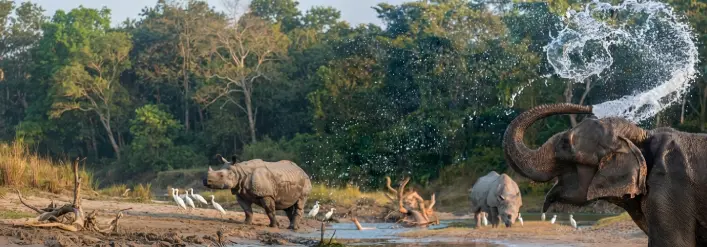 Nepal 7 Nights 8 Days holiday tour package