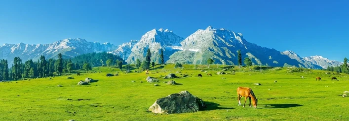 Kashmir 5 Nights 6 Days tour package day 3
